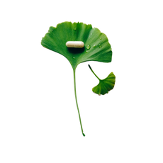 Intuition Health Auckland