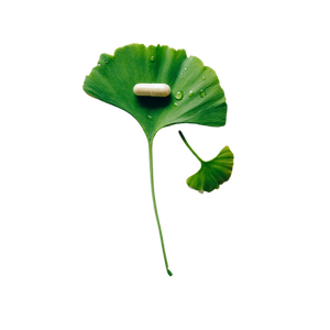 Intuition Health Auckland