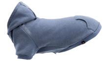 BE NORDIC Hoodie Blue