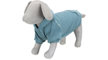 BE NORDIC Hoodie Teal