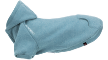 BE NORDIC Hoodie Teal