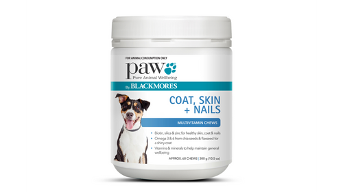 PAW Coat Skin Nails Chews 300g