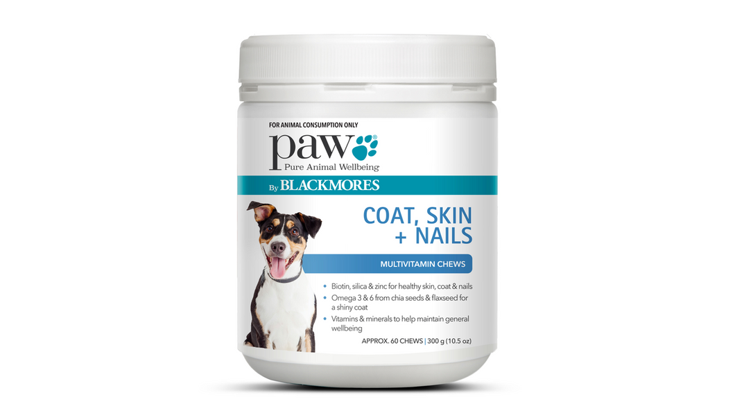 PAW Coat Skin Nails Chews 300g